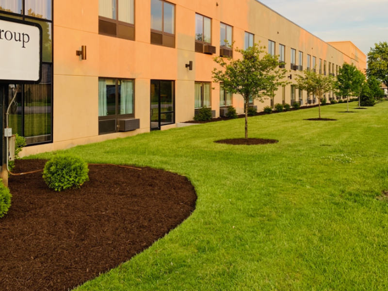 Commercial mulching service - brown color mulch