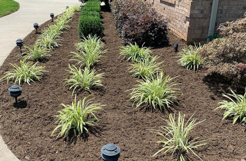 flower bed planting
