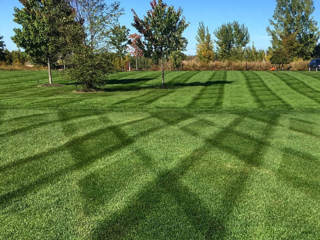 residential mowing