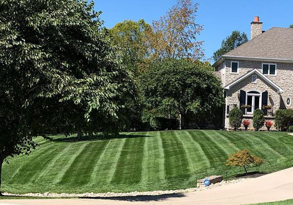 Front yard mowing