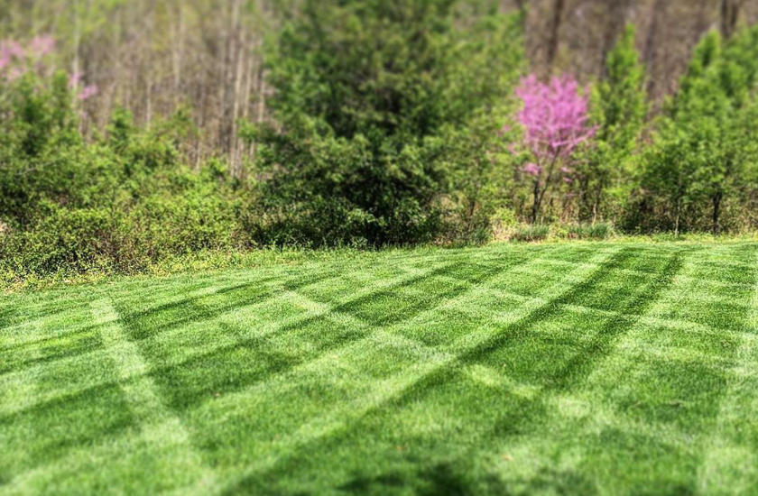 backyard mowing stripes
