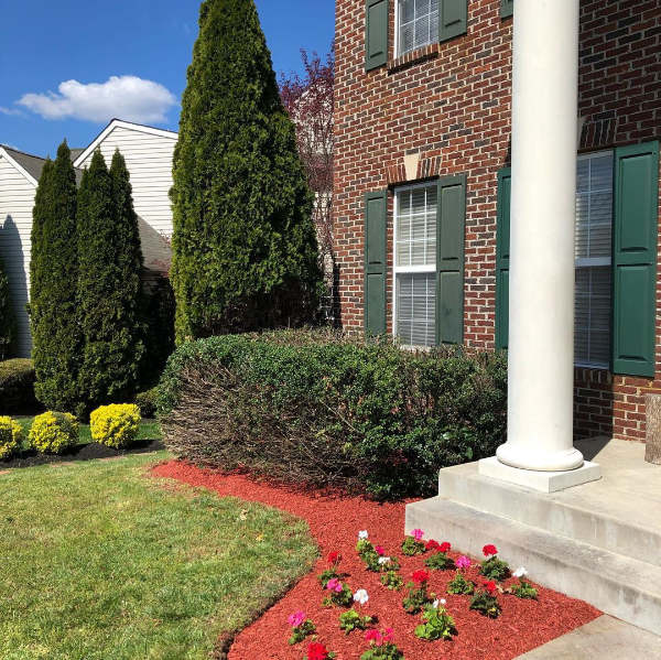 Front yard red mulch installation